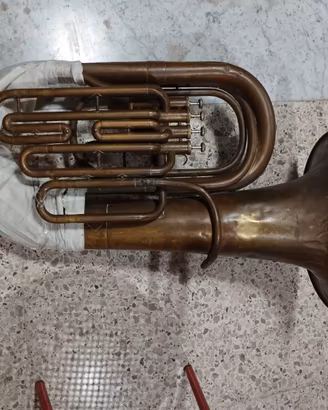 tuba kalison