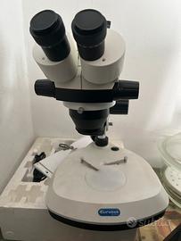 Microscopio