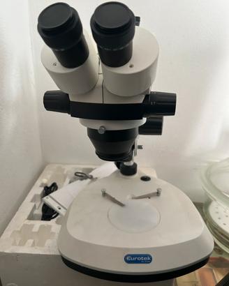 Microscopio