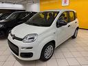fiat-panda-1-0-firefly-s-s-hybrid-pandina