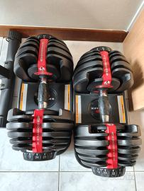 Pesi regolabili Bowflex + Panca Yoleo
