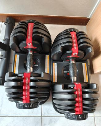 Pesi regolabili Bowflex + Panca Yoleo