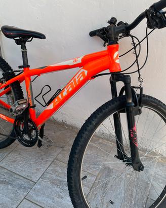 Atala  ragazzo misura 26