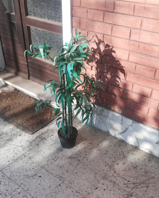 Pianta artificiale bambù