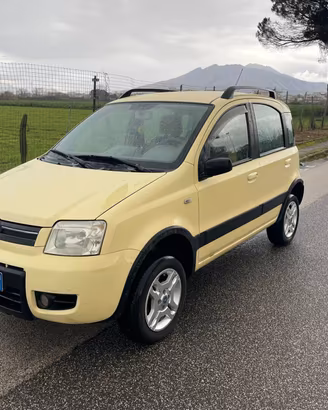 Fiat Panda 1.3 MJT 16V 4x4 anno 2006