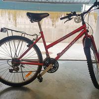 MTB unisex 24" 