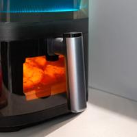 FRIGGITRICE AD ARIA, Forno Ventitato, NUOVO