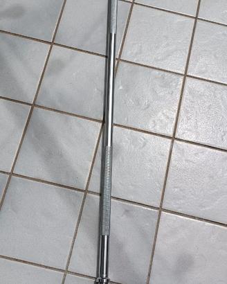 Bilanciere + cintura supporto lombare