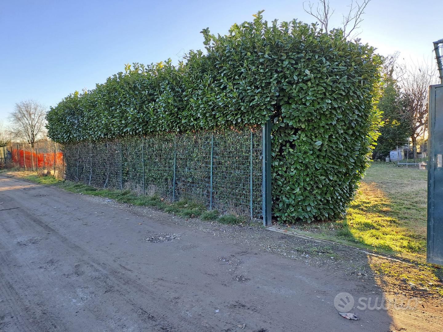Terreno Agricolo Milano - Vista 3