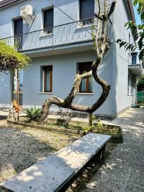 Porzione di bifamiliare Pontevigodarzere