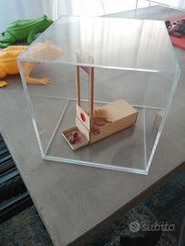 Francesco De Molfetta 