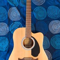 Chitarra acustica Fender con custodia e tracolla 