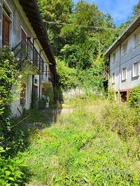 5 appartamenti e ampio bosco