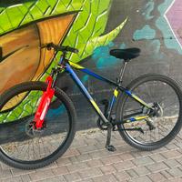 Bicicletta MTB
