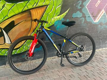Bicicletta MTB