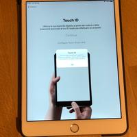 Ipad mini