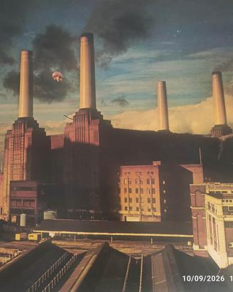 Pink Floyd LP