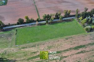 Terreno agricolo 8.000 mq fronte strada con pozzo