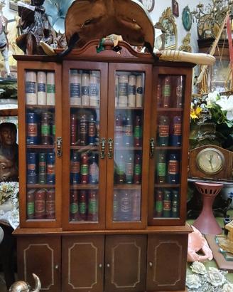 Mini libreria vera