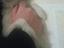 Immagine 3