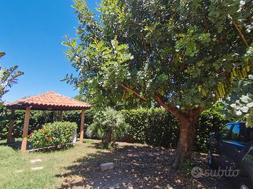 Villa Aralia San Lorenzo a 200m dalla spiaggia