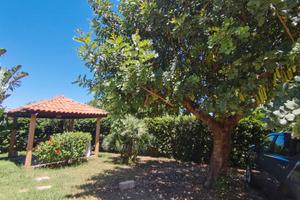 Villa Aralia San Lorenzo a 200m dalla spiaggia