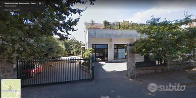 Locale commerciale 250