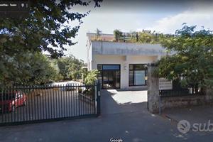 Locale commerciale 250