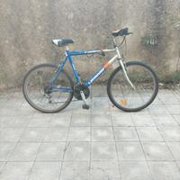  Mountain bike Legnano Stargate mtb