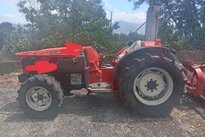 Goldoni star 100
