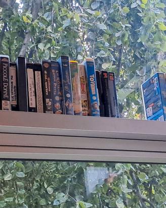 VHS originali e no – Film cult 🎬, cartoni, Disney