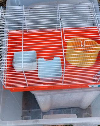 Gabbie, ruote per criceto