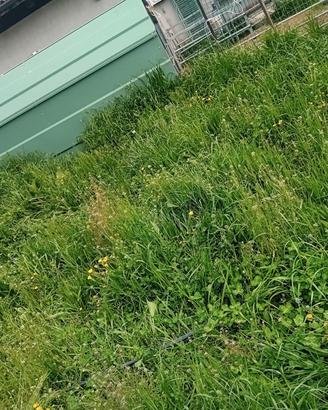 Capanna in lamiera ovicaprini, movibile