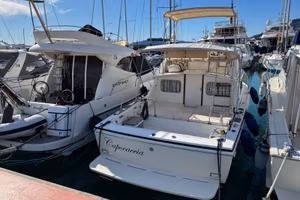 Bertram 28 FBC del 1989