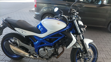 Suzuki Gladius 650 anno 2012