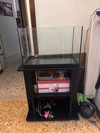 Aquario