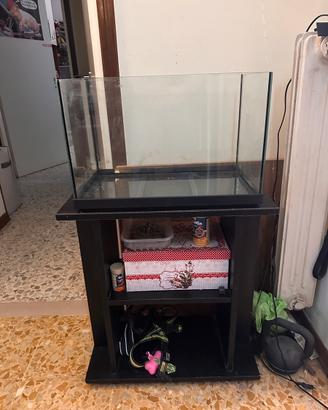 Aquario