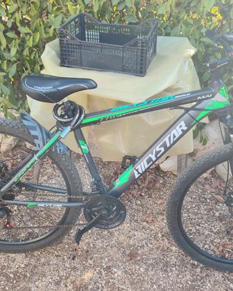 Bicicletta 