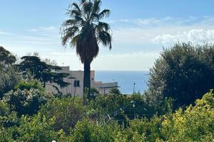 Appartamento Napoli [Cod. rif 3331515ARG]