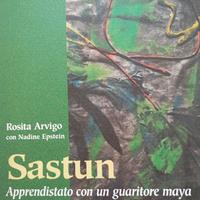 Sastun apprendistato con un guaritore Maya