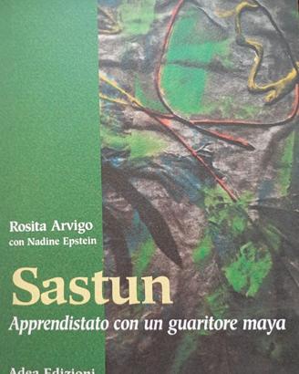 Sastun apprendistato con un guaritore Maya