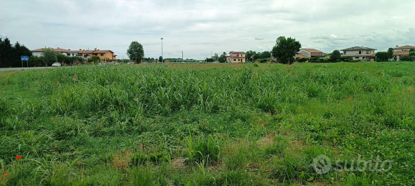 Terreno agricolo di 998 mq con accesso diretto - Vista 3