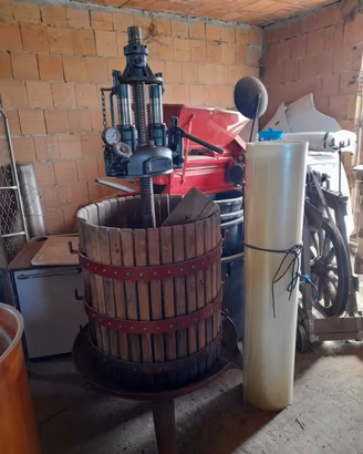 Torchio vino
