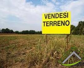 TERRENO AGRICOLO