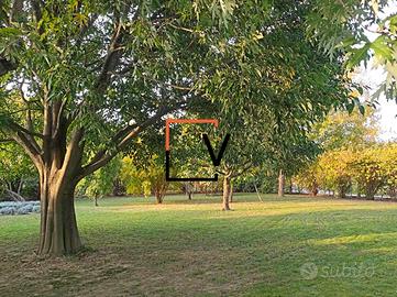 VILLA SINGOLA CON AMPIO GIARDINO