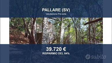 Immobile in asta di 349090 m² a Pallare