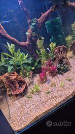 Acquario nanotank 60l