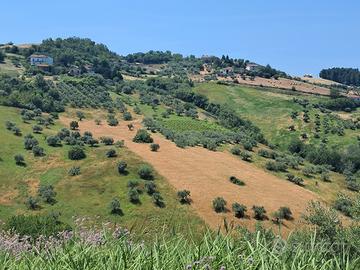 Terreno agricolo