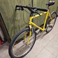 Bicicletta All terrain