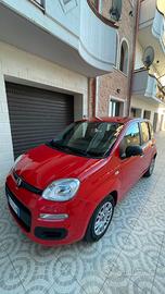 Fiat Panda 1.0 Hybrid Benzina/Elettrica 70cv